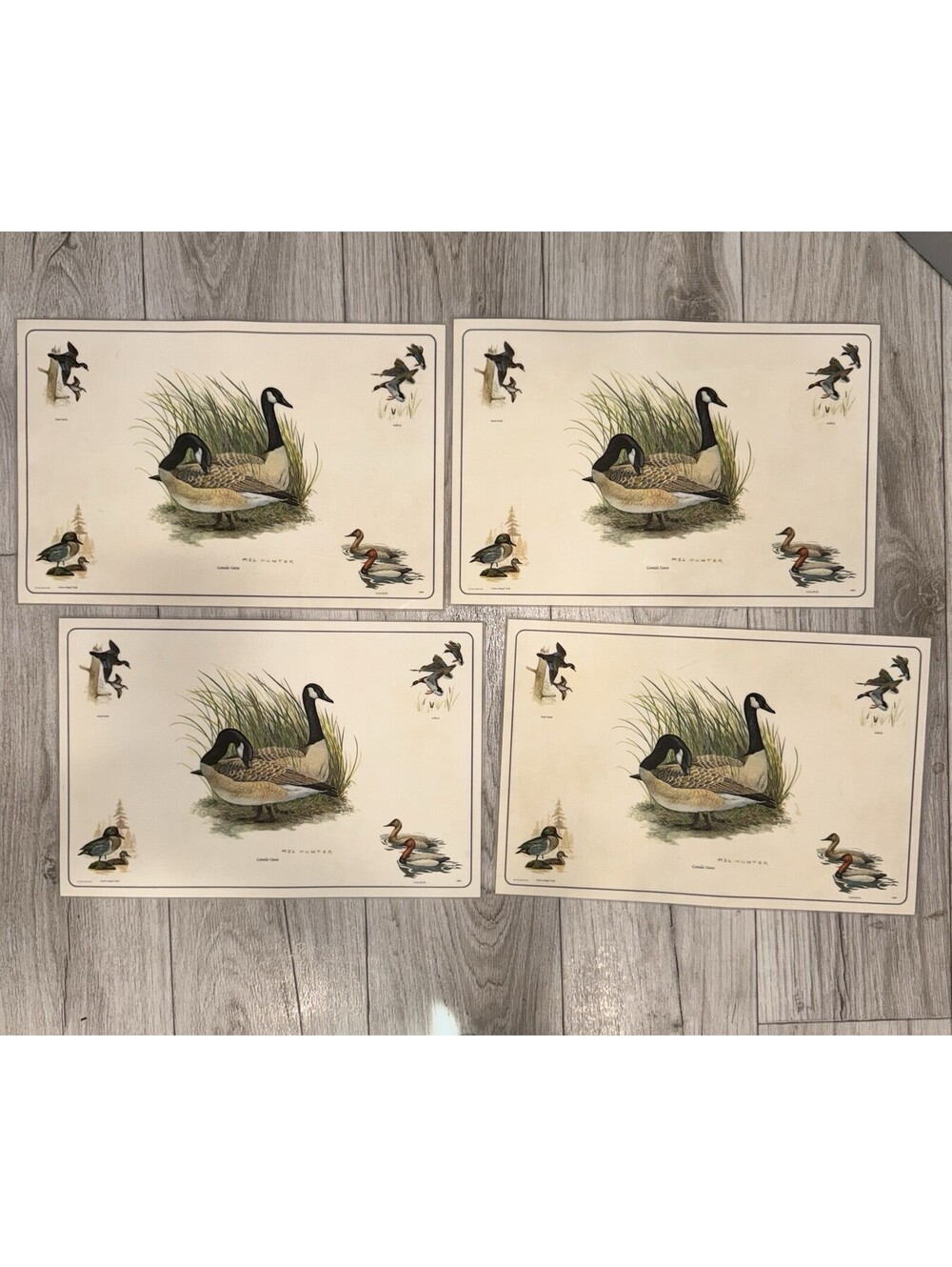 4 Vintage Mel Hunter Canada Geese Wildlife Placemats Duck Hunting Cabin 11x17